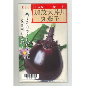 画像: [なす]　京野菜　加茂大芹川丸茄子　20ml　（株）タカヤマシード