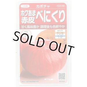 画像: 送料無料　[かぼちゃ]　べにくり　6粒　(株)サカタのタネ　実咲450（002874）