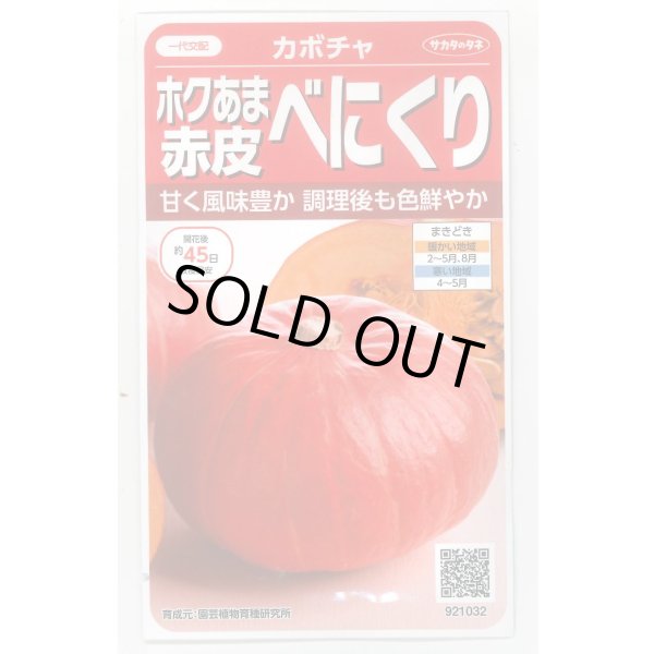 画像1: 送料無料　[かぼちゃ]　べにくり　6粒　(株)サカタのタネ　実咲450（002874） (1)