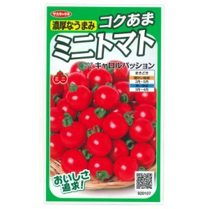 画像: [トマト/ミニトマト]　キャロルパッション　12粒　サカタのタネ（株）　実咲400