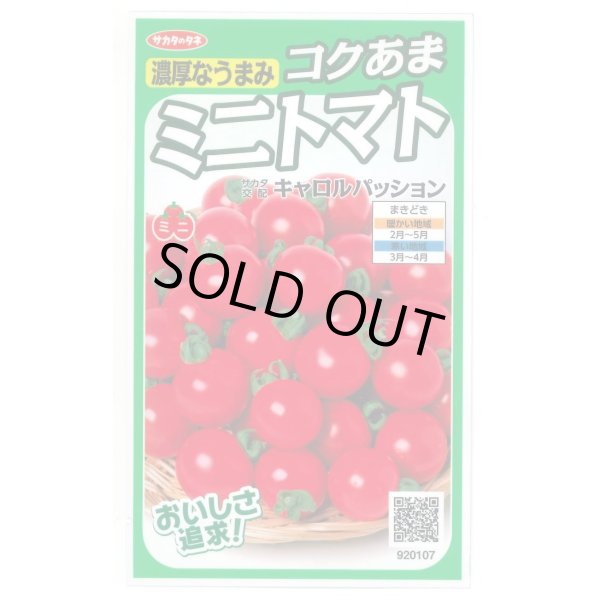 画像1: [トマト/ミニトマト] キャロルパッション 12粒 (株)サカタのタネ 実咲450(002826) (1)