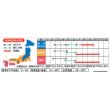 画像2: [パプリカ]　ぱぷりーな　12粒　（株）サカタのタネ　実咲500 (2)