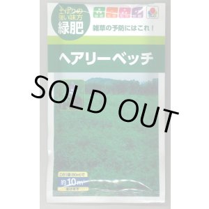 画像: 送料無料　[緑肥]　大麦(緑肥用)ヘアリーベッチ・ナモイ　小袋(約10平方メートル分)