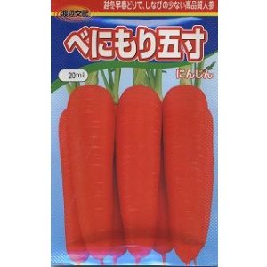 画像: 送料無料　[人参]　べにもり五寸　20ml　渡辺農事（株）
