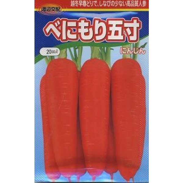 画像1: 送料無料　[人参]　べにもり五寸　20ml　渡辺農事（株） (1)