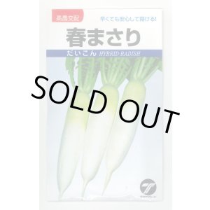 画像: 送料無料[大根]　春まさり　小袋　(株)タカヤマシード