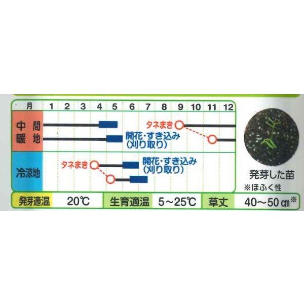 画像2: 送料無料　[緑肥]　大麦(緑肥用)ヘアリーベッチ・ナモイ　小袋(約10平方メートル分) (2)