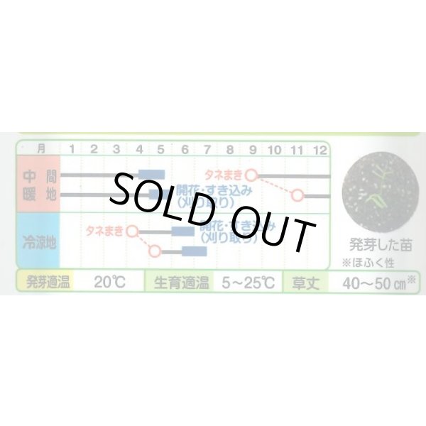 画像2: 送料無料　[緑肥]　大麦(緑肥用)ヘアリーベッチ・ナモイ　小袋(約10平方メートル分) (2)