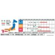 画像4: [トマト/ミニトマト]　キャロルパッション　12粒　サカタのタネ（株）　実咲400 (4)