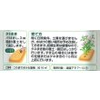 画像3: 送料無料　[緑肥]　大麦(緑肥用)ヘアリーベッチ・ナモイ　小袋(約10平方メートル分) (3)