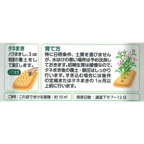画像3: 送料無料　[緑肥]　大麦(緑肥用)ヘアリーベッチ・ナモイ　小袋(約10平方メートル分) (3)