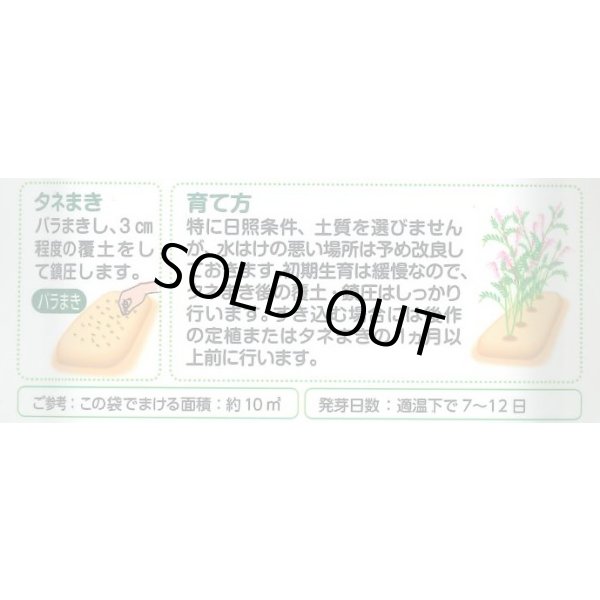 画像3: 送料無料　[緑肥]　大麦(緑肥用)ヘアリーベッチ・ナモイ　小袋(約10平方メートル分) (3)