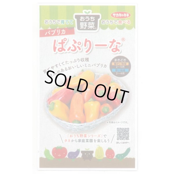 画像1: 送料無料　[ピーマン]　パプリカ　ぱぷりーな　12粒　(株)サカタのタネ　実咲550（004022） (1)