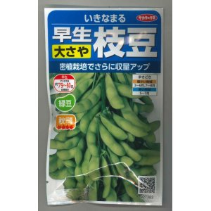 画像: [枝豆]　いきなまる　約40粒　（株）サカタのタネ　　実咲300
