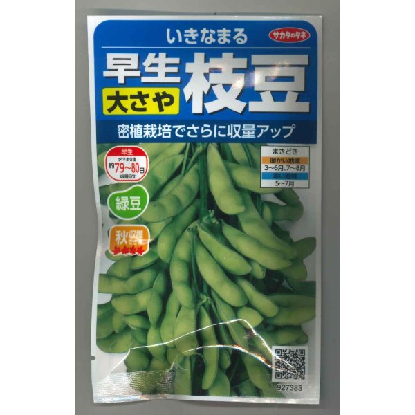 画像1: [枝豆]　いきなまる　約40粒　（株）サカタのタネ　　実咲300 (1)