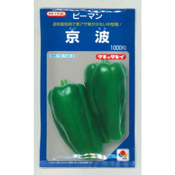 画像1: 送料無料　[ピーマン]　京波　1000粒　タキイ種苗(株) (1)