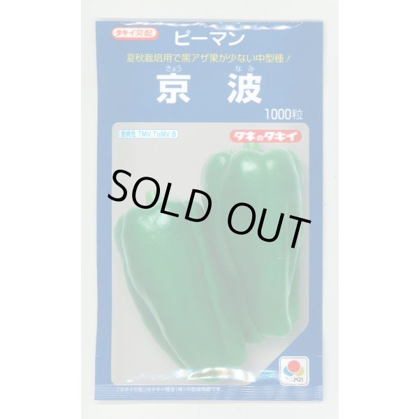画像1: 送料無料　[ピーマン]　京波　1000粒　タキイ種苗(株) (1)