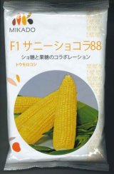 画像: [とうもろこし]　サニーショコラ88　2000粒　ヴィルモランみかど