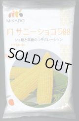 画像: [とうもろこし]　サニーショコラ88　2000粒　ヴィルモランみかど（株）