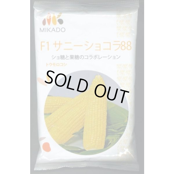 画像1: [とうもろこし]　サニーショコラ88　2000粒　ヴィルモランみかど（株） (1)