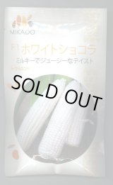 画像: 送料無料　[とうもろこし]　ホワイトショコラ　200粒　ヴィルモランみかど（株）