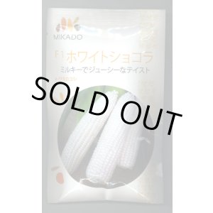 画像: 送料無料　[とうもろこし]　ホワイトショコラ　200粒　ヴィルモランみかど（株）