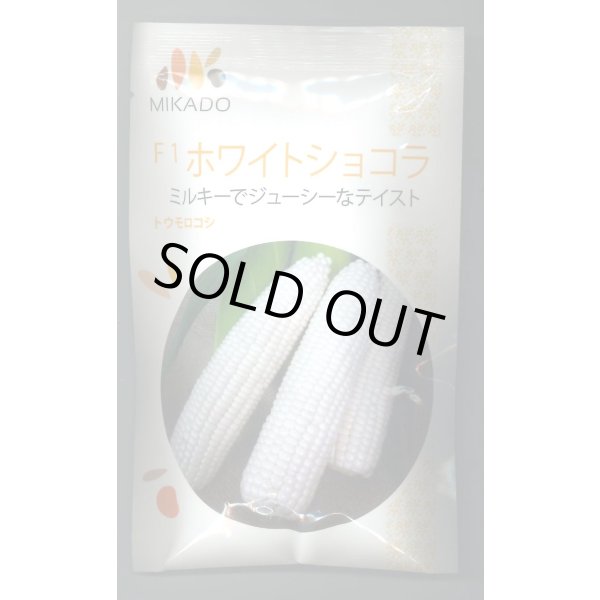 画像1: 送料無料　[とうもろこし]　ホワイトショコラ　200粒　ヴィルモランみかど（株） (1)