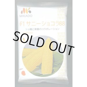 画像: 送料無料　[とうもろこし]　サニーショコラ88　200粒　ヴィルモランみかど（株）