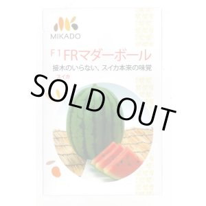 画像: 送料無料　[スイカ]　小玉スイカ　FRマダーボール　8粒　ヴィルモランみかど