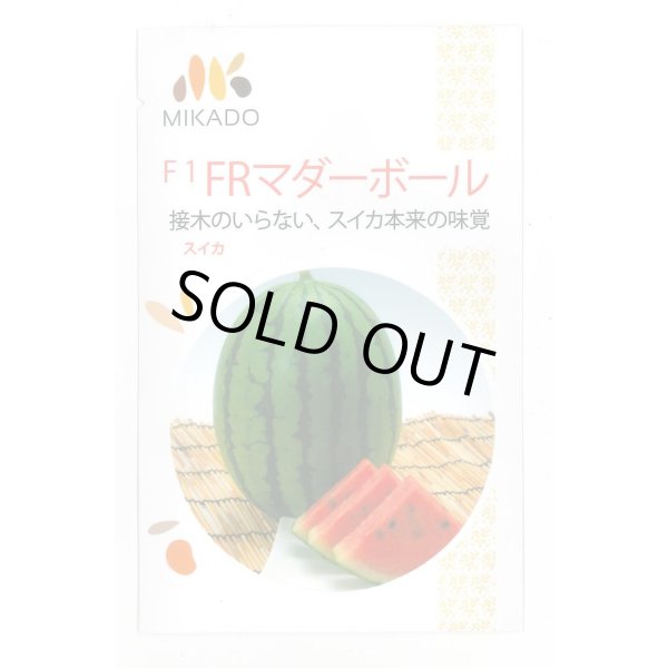 画像1: 送料無料　[スイカ]　小玉スイカ　FRマダーボール　8粒　ヴィルモランみかど (1)