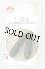 画像: 送料無料　[ズッキーニ]　ＫＺ-2　100粒　ヴィルモランみかど（株）