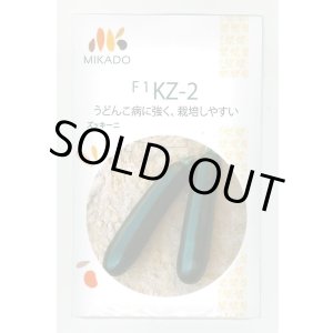 画像: 送料無料　[ズッキーニ]　ＫＺ-2　100粒　ヴィルモランみかど（株）