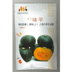 画像: 送料無料　[かぼちゃ]　味平　100粒　ヴィルモランみかど