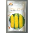 画像1: 送料無料　[とうもろこし]　サニーショコラ　200粒　ヴィルモランみかど (1)