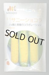 画像: 送料無料　[とうもろこし]　サニーショコラ　200粒　ヴィルモランみかど（株）
