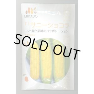 画像: 送料無料　[とうもろこし]　サニーショコラ　200粒　ヴィルモランみかど（株）