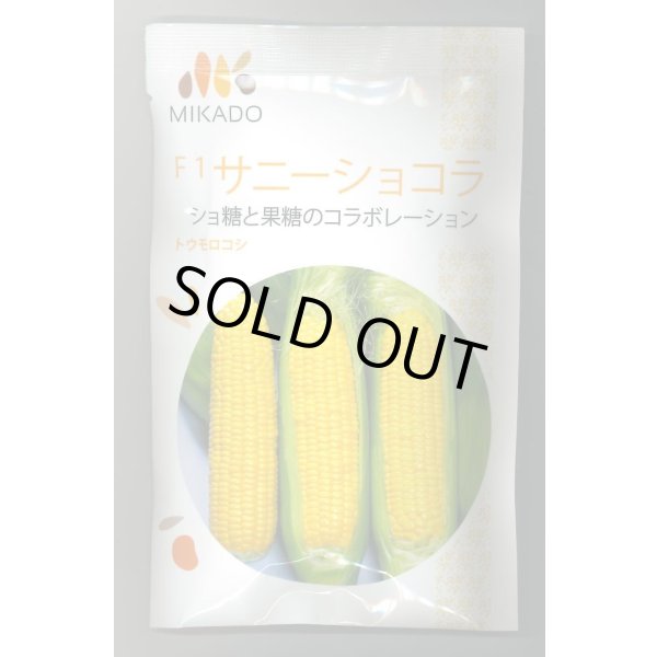 画像1: 送料無料　[とうもろこし]　サニーショコラ　200粒　ヴィルモランみかど（株） (1)