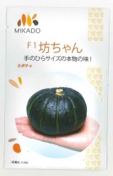 画像: 送料無料　[かぼちゃ]　坊ちゃん　100粒　ヴィルモランみかど