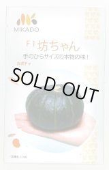 画像: 送料無料　[かぼちゃ]　坊ちゃん　100粒　ヴィルモランみかど（株）