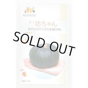画像: 送料無料　[かぼちゃ]　坊ちゃん　100粒　ヴィルモランみかど（株）