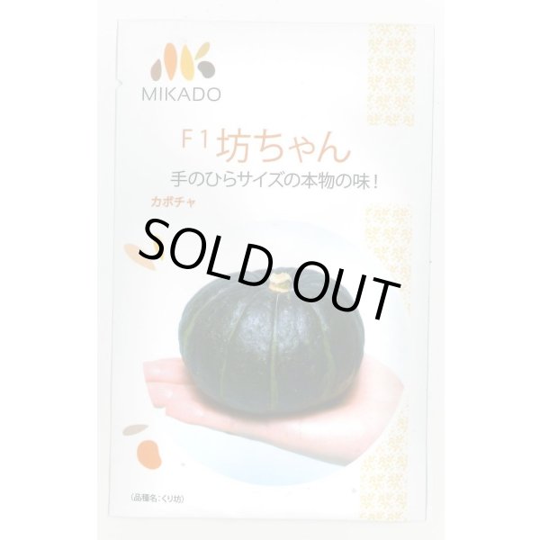 画像1: 送料無料　[かぼちゃ]　坊ちゃん　100粒　ヴィルモランみかど（株） (1)