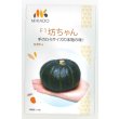 画像1: 送料無料　[かぼちゃ]　坊ちゃん　8粒　ヴィルモランみかど (1)