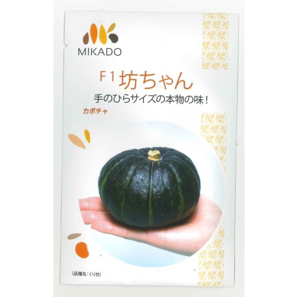 画像1: 送料無料　[かぼちゃ]　坊ちゃん　8粒　ヴィルモランみかど (1)