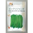 画像1: 送料無料　[いんげん]　ビックリジャンボ　30ml　ヴィルモランみかど (1)