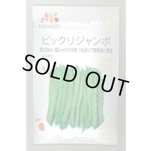 画像: 送料無料　[いんげん]　ビックリジャンボ　30ml　ヴィルモランみかど（株）