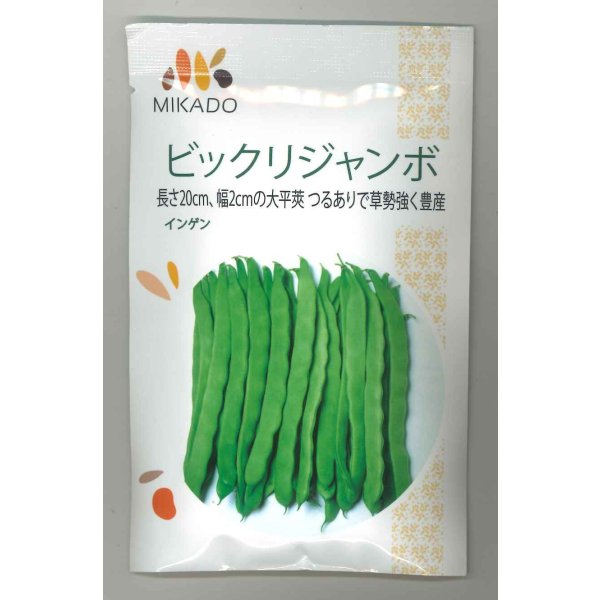 画像1: 送料無料　[いんげん]　ビックリジャンボ　30ml　ヴィルモランみかど (1)