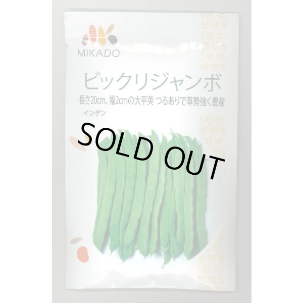 画像1: 送料無料　[いんげん]　ビックリジャンボ　30ml　ヴィルモランみかど（株） (1)