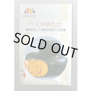 画像: 送料無料　[かぼちゃ]　くりゆたか　100粒　ヴィルモランみかど（株）