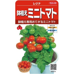 画像: [トマト/ミニトマト]　鉢植えミニトマト　レジナ　小袋（およそ75粒）　サカタのタネ（株）　実咲300