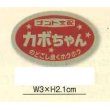 画像1: 送料無料！青果シール　カボちゃん　1000枚入り   ナント種苗（株） (1)